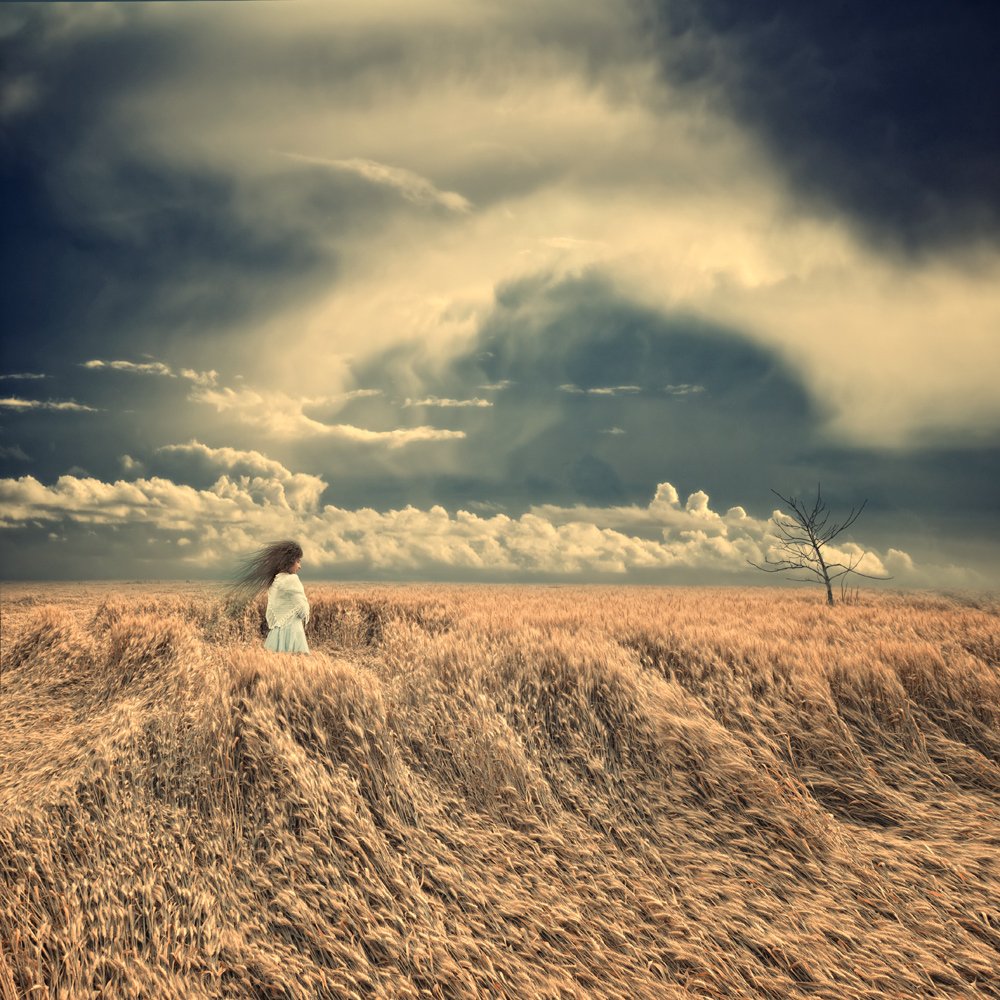 field, sky, girl, clouds, tree, wheat, hair, windy, breeze, Caras Ionut