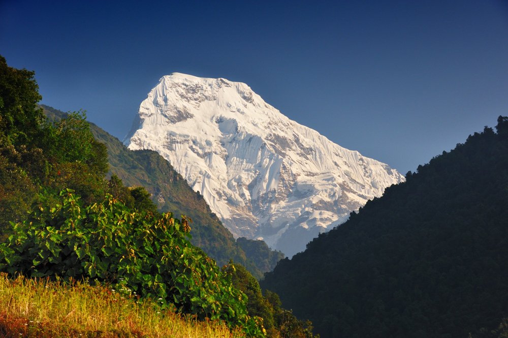 anapurna, hymalaya, nepal, south, mountain, high, mountaineering, Vasiliy Ganzha