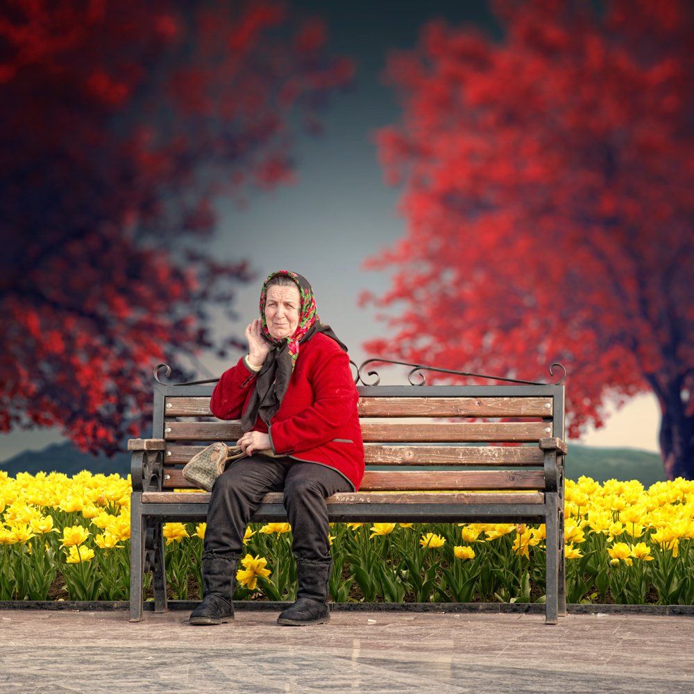 yellow, field, sky, flowers, red, old, tree, bench, woman, alone, mounting, seating, Caras Ionut