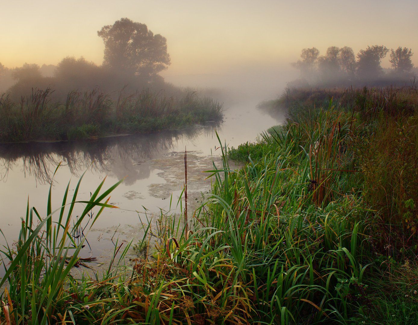 рассвет, пейзаж, волчья, туман, река, утро, dawn, landscape, fog, river, morning, Виктор Тулбанов