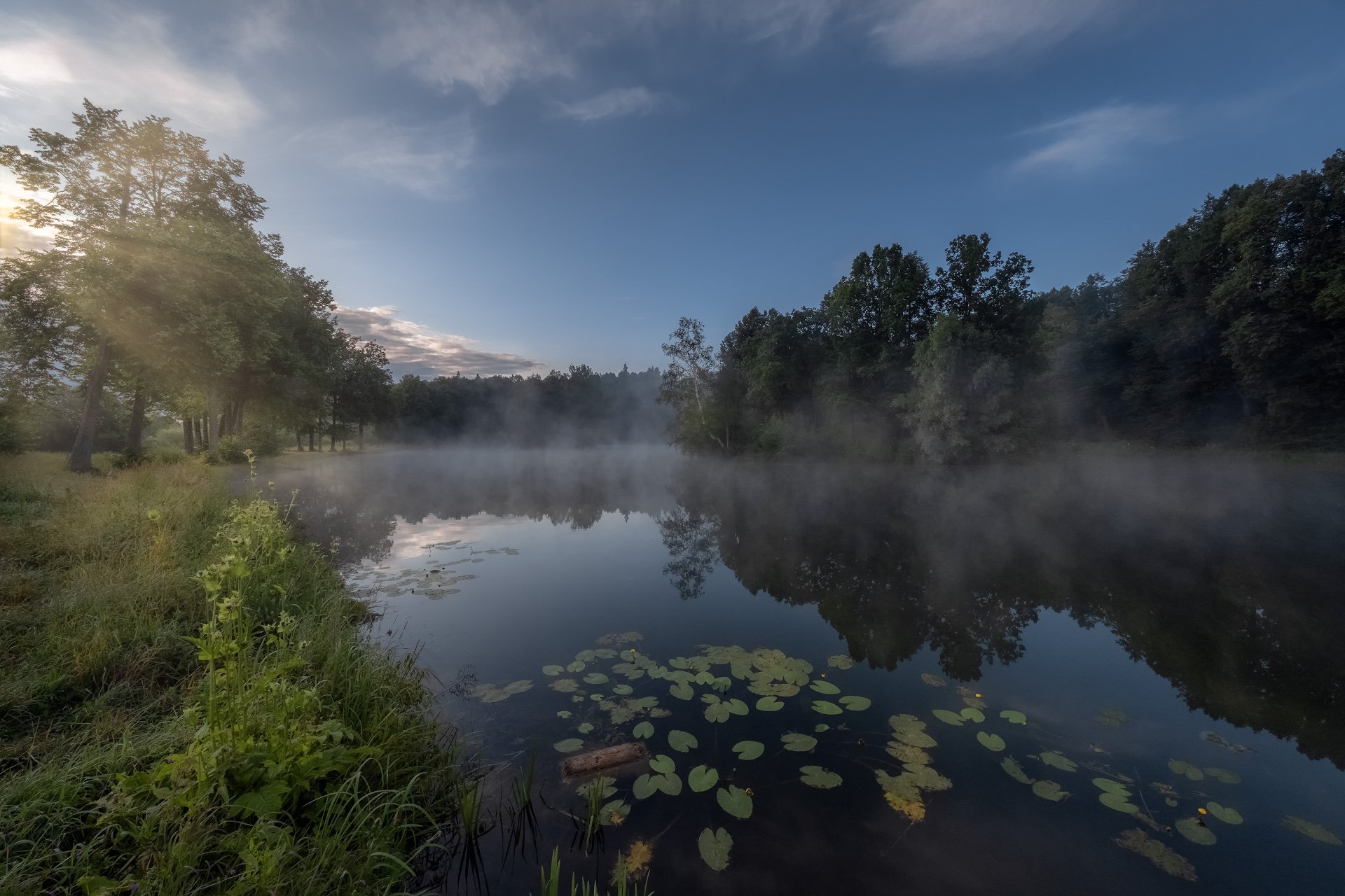 домик на берегу реки. пруд с мостиком. пруд с утками в деревне. красивый пруд. пейзаж.