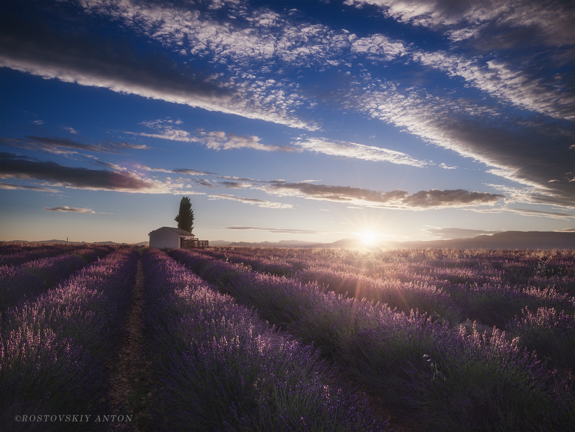 Прованс, лаванда, поле, утро, восход, Provence, Valensole, France, triplaunch.ru, , Антон Ростовский