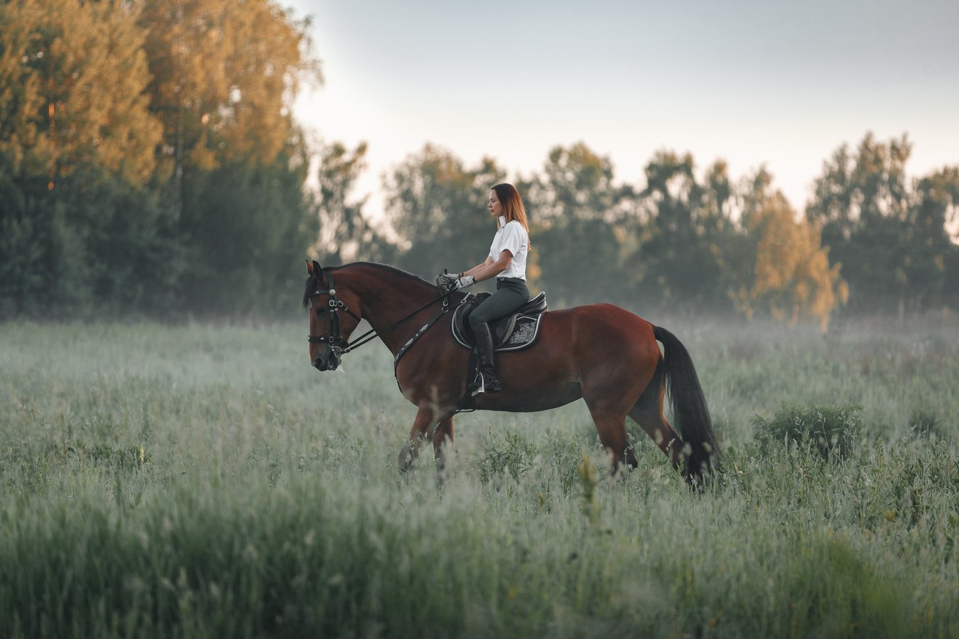 конная прогулка, лошадь, рассвет, туман, Элина Хван