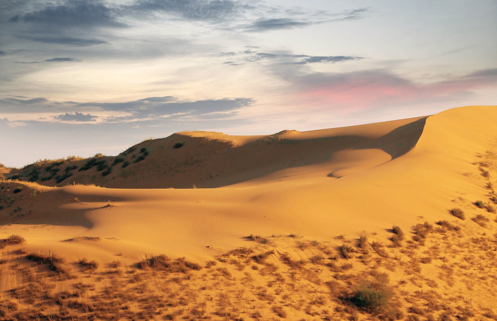 песок,песчаная гора,сарыкум,жёлтые пески,дагестан,заповедник., Marat Magov