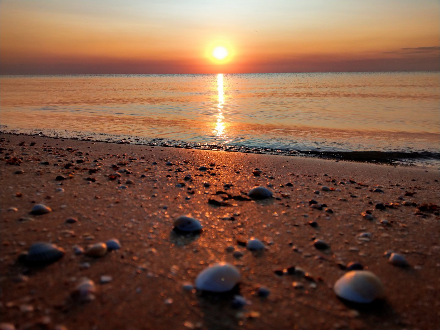 утро,рассвет,море,солнце,пейзаж,цвет,sunrise, Сергей Богачёв