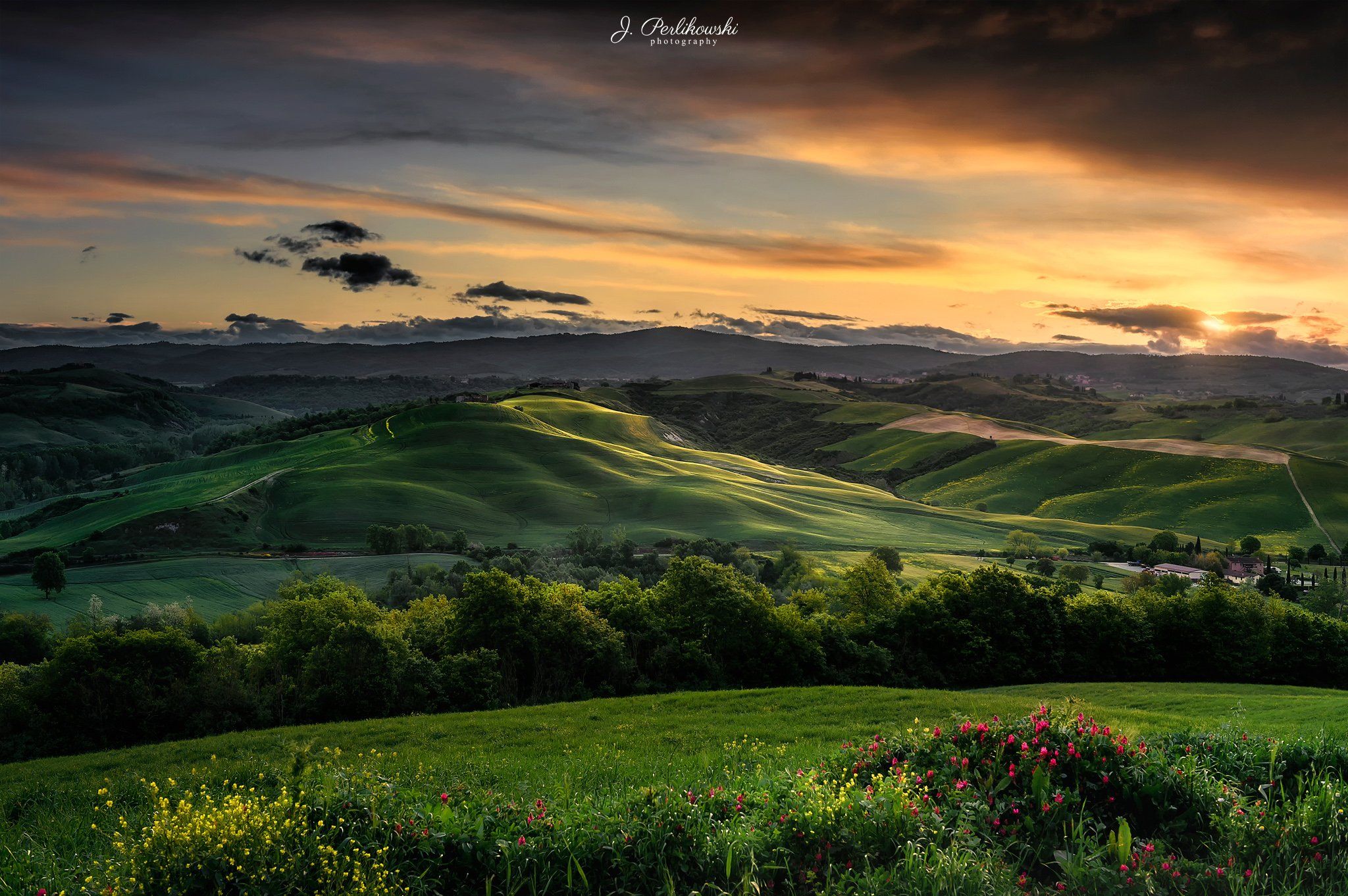 tuscany, landscape, italy, cypres hill, green fields,, Jakub Perlikowski