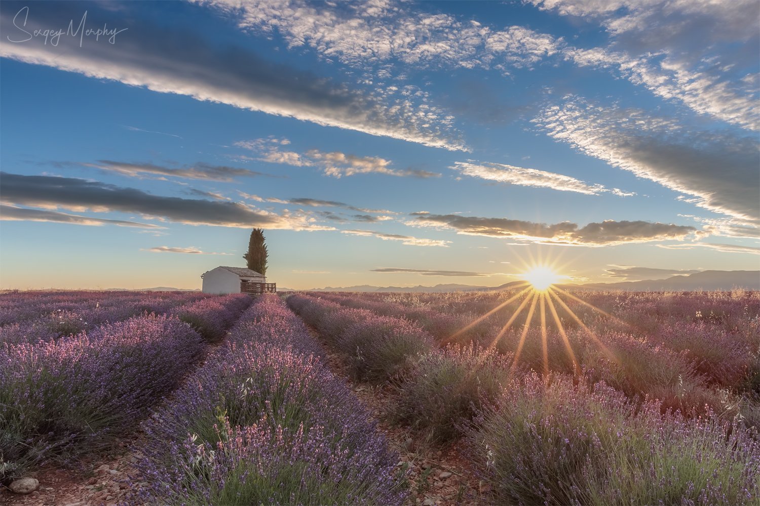 sunrise lavender fields, Sergey Merphy