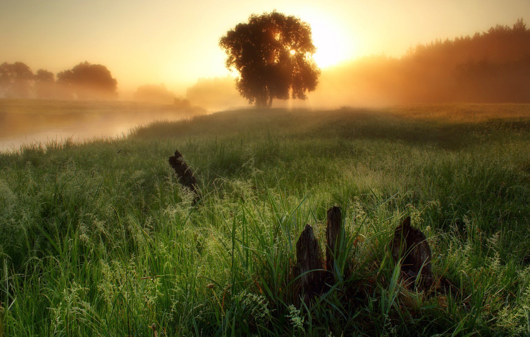туман, солнце, утро, рассвет, река, волчья, fog, sun, morning, dawn, river, Виктор Тулбанов
