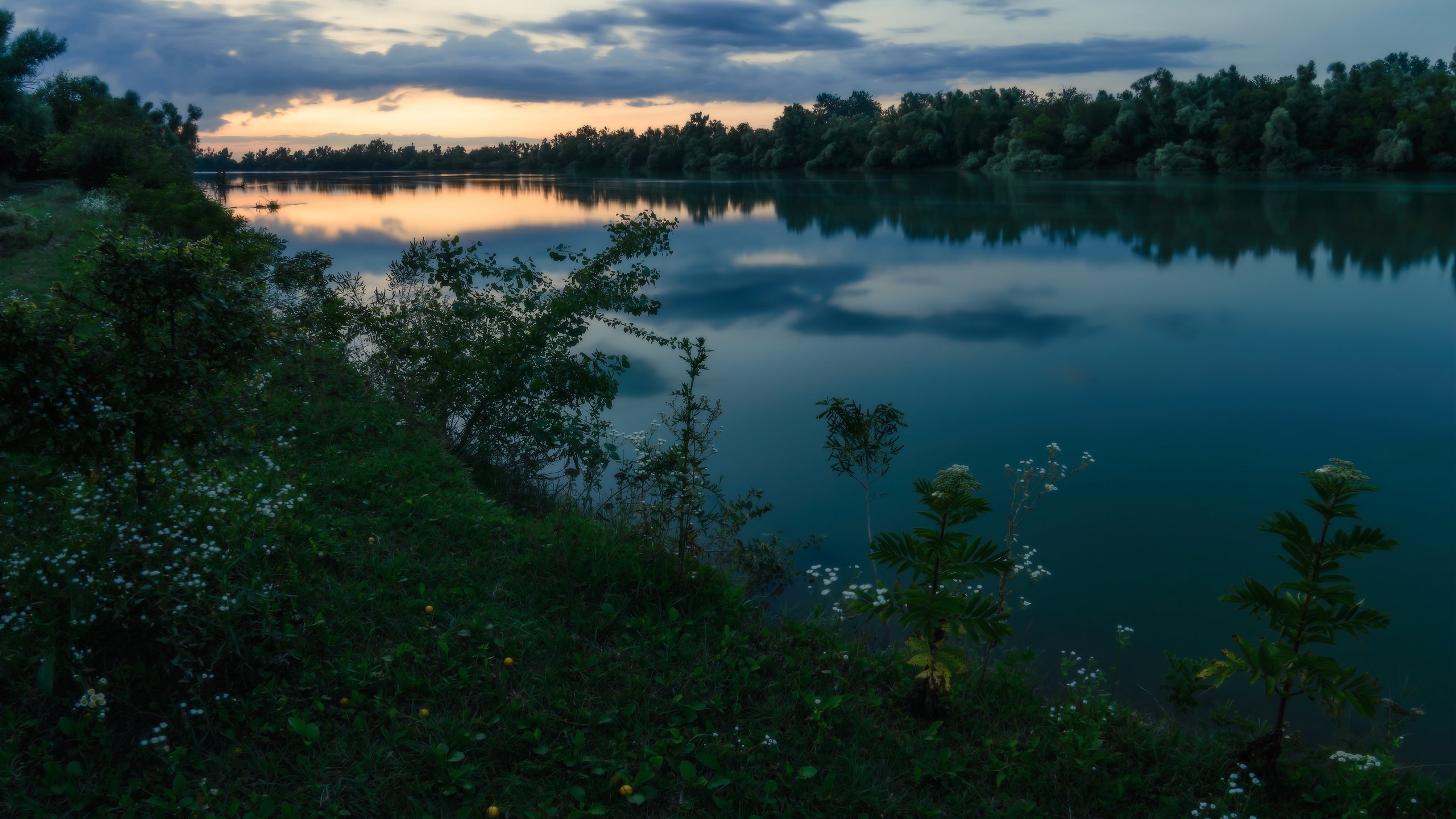 , Alexander Plekhanov