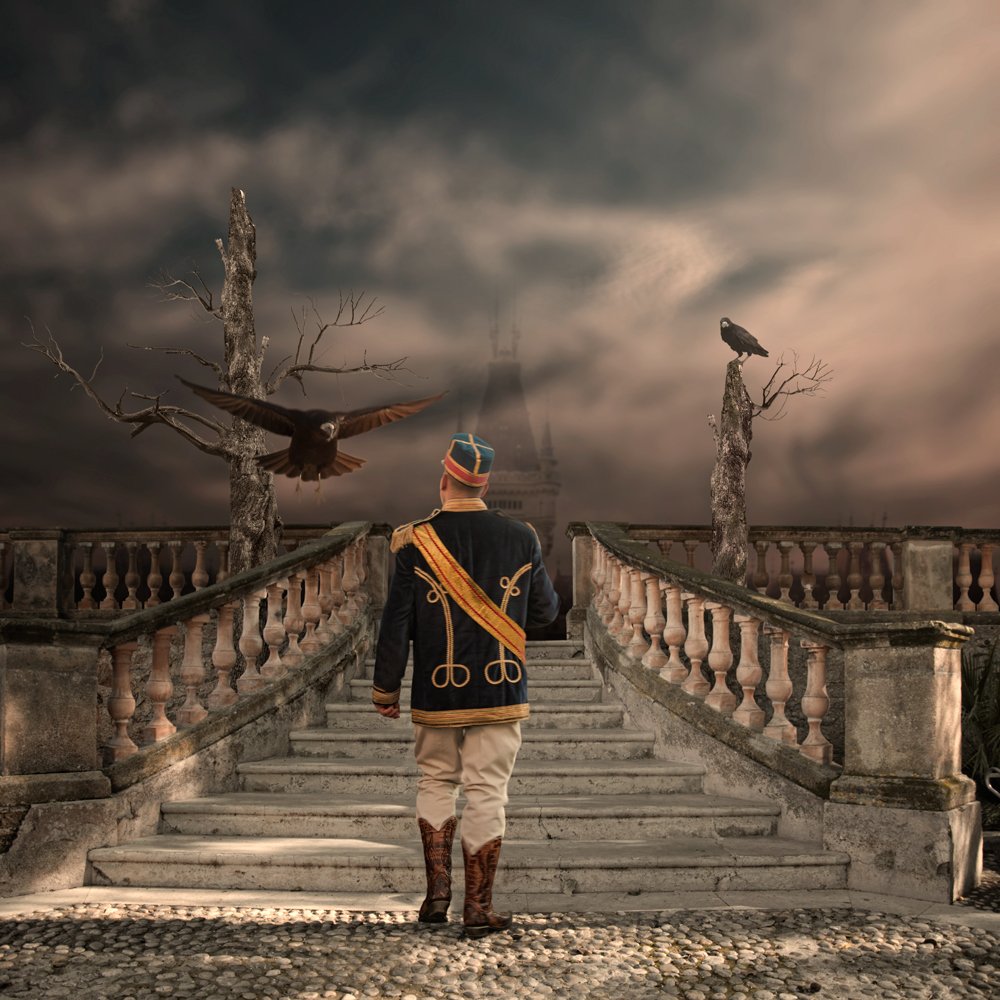 sky, reflection, clouds, tree, fly, wood, castle, stone, stairs, crow, soldier, lighting, guardians, cavaler, Caras Ionut