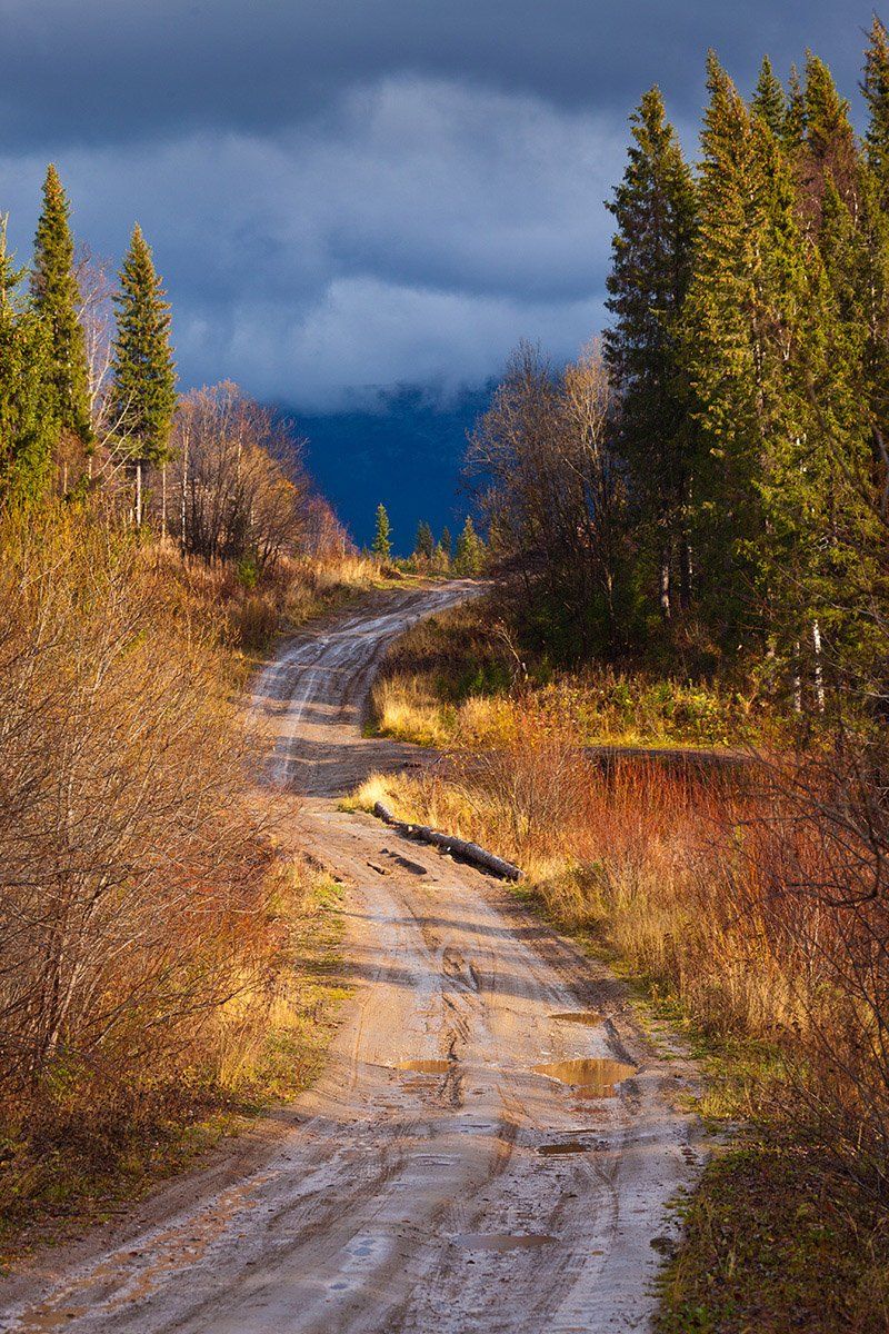 ural, taiga, road, forest, autumn, Konstantin Mironov