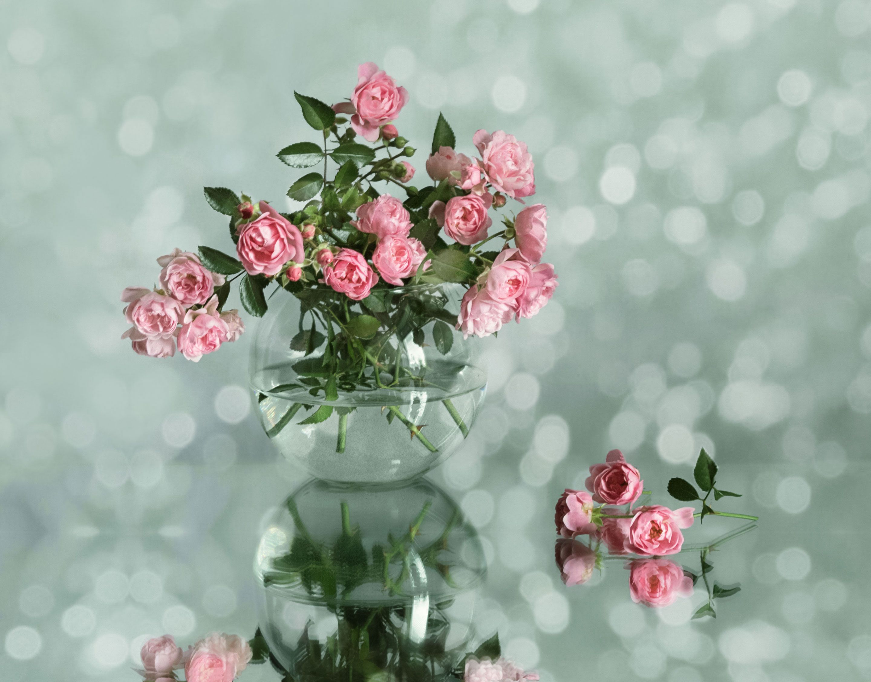 натюрморт, букет, розы, ваза, боке, отражение, Вера Лопатина