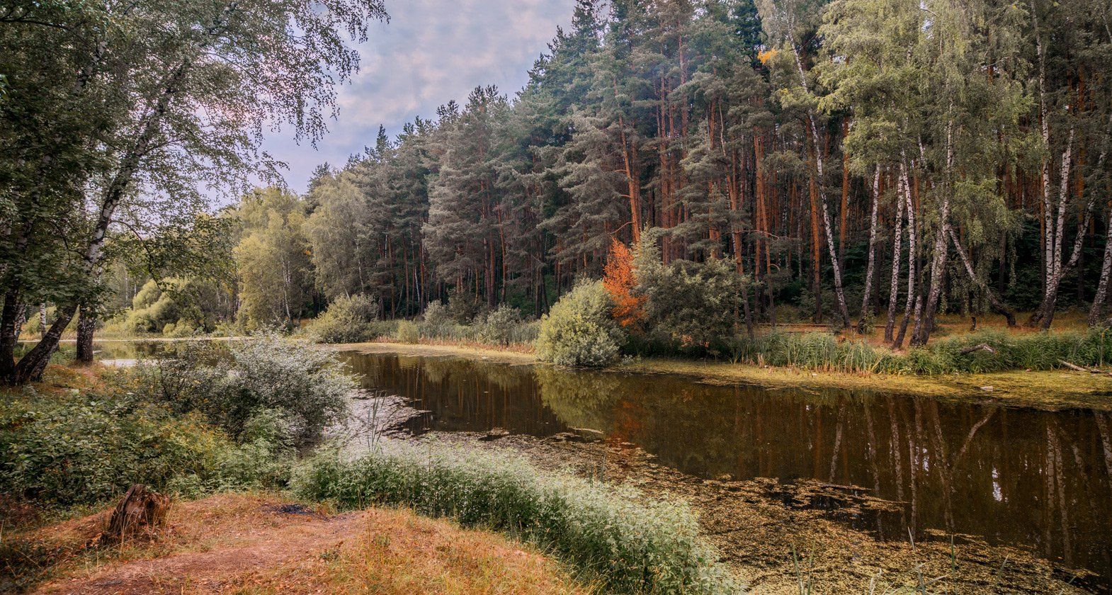 лес, озеро, природа, Виктор Климкин