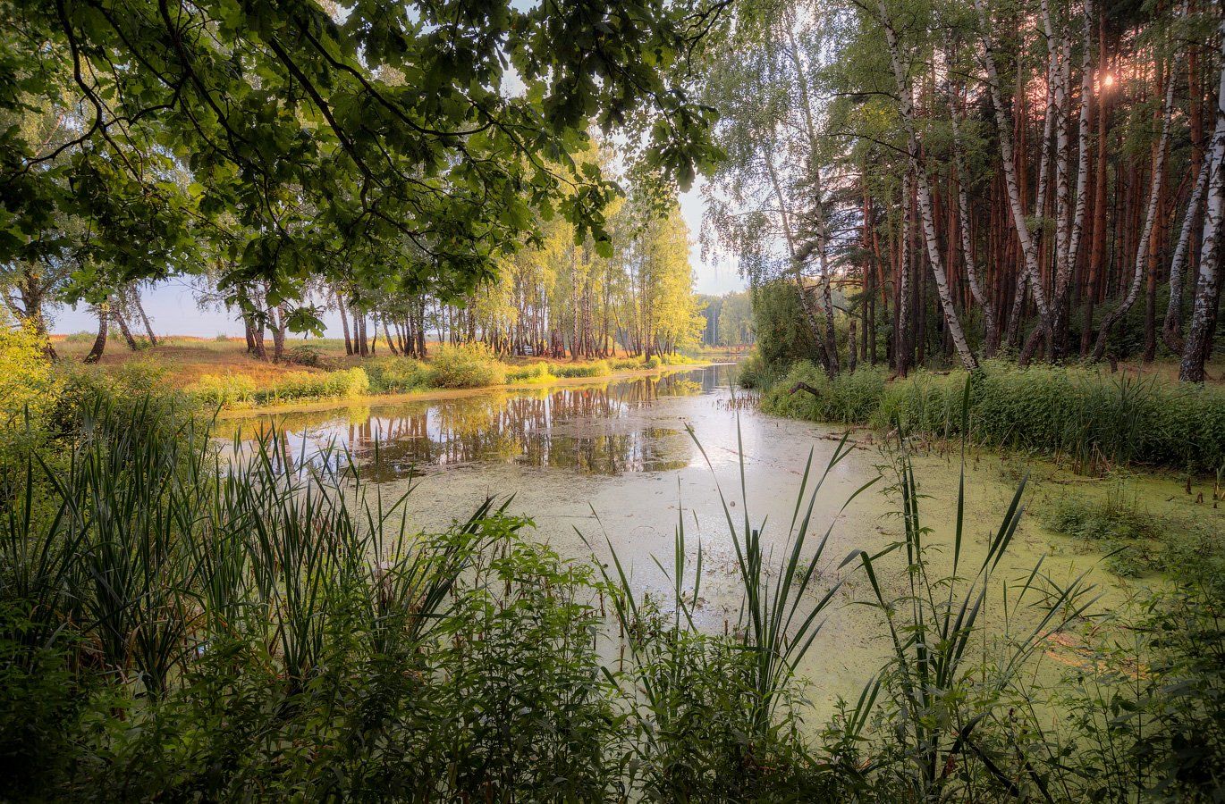 озеро, лес, солнце, Виктор Климкин