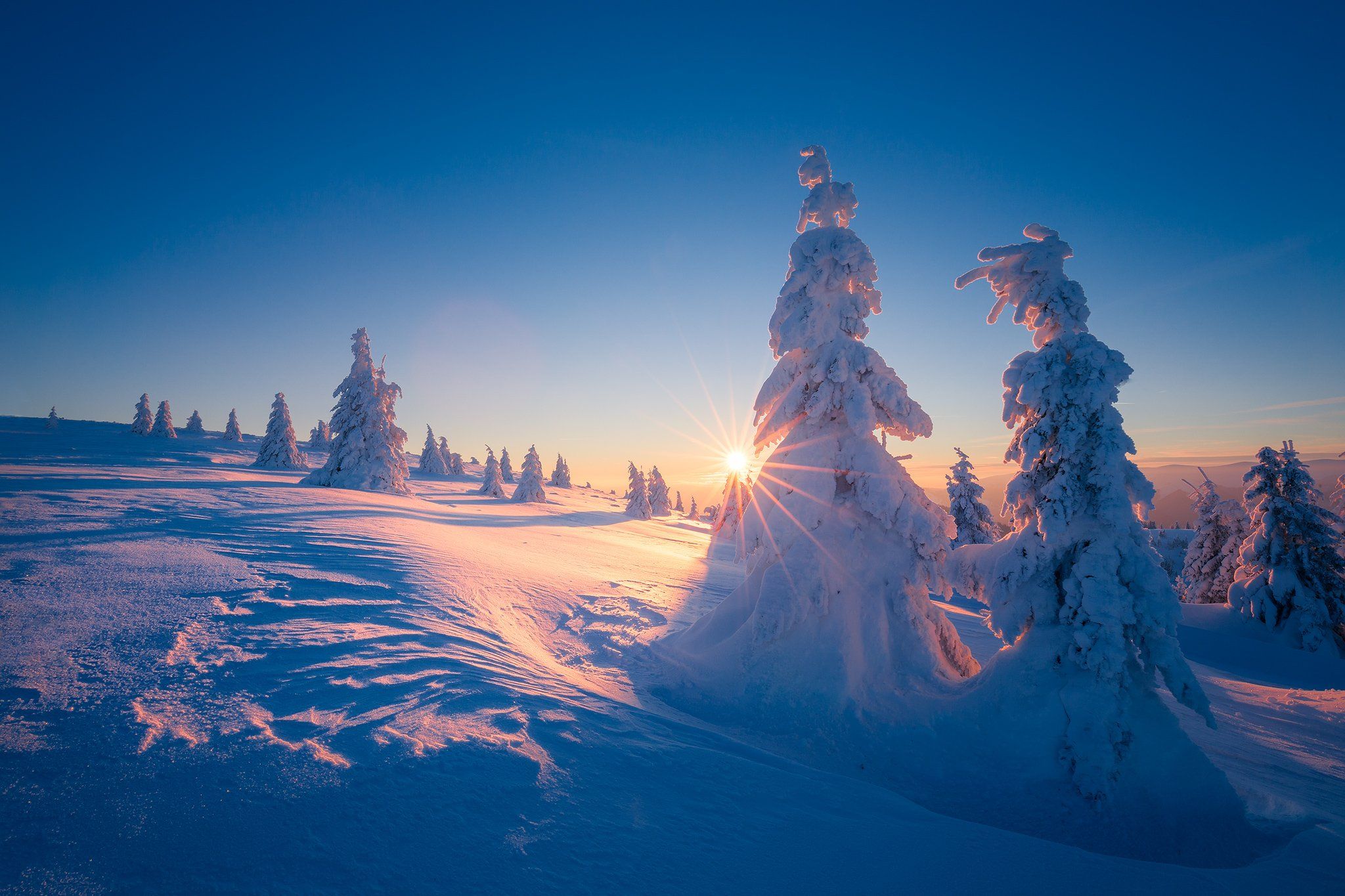 frozen, sunset, sun, sun flare, winter, trees, snow, blue,, Adrian Misiak