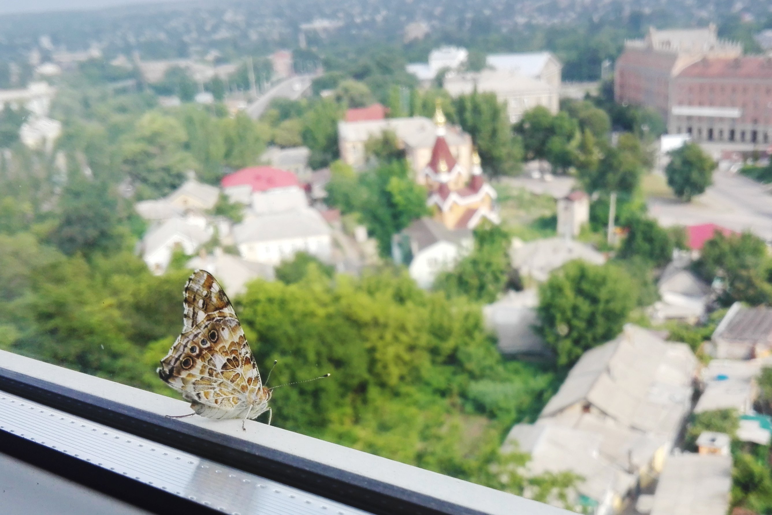 , Алексей Гуляев