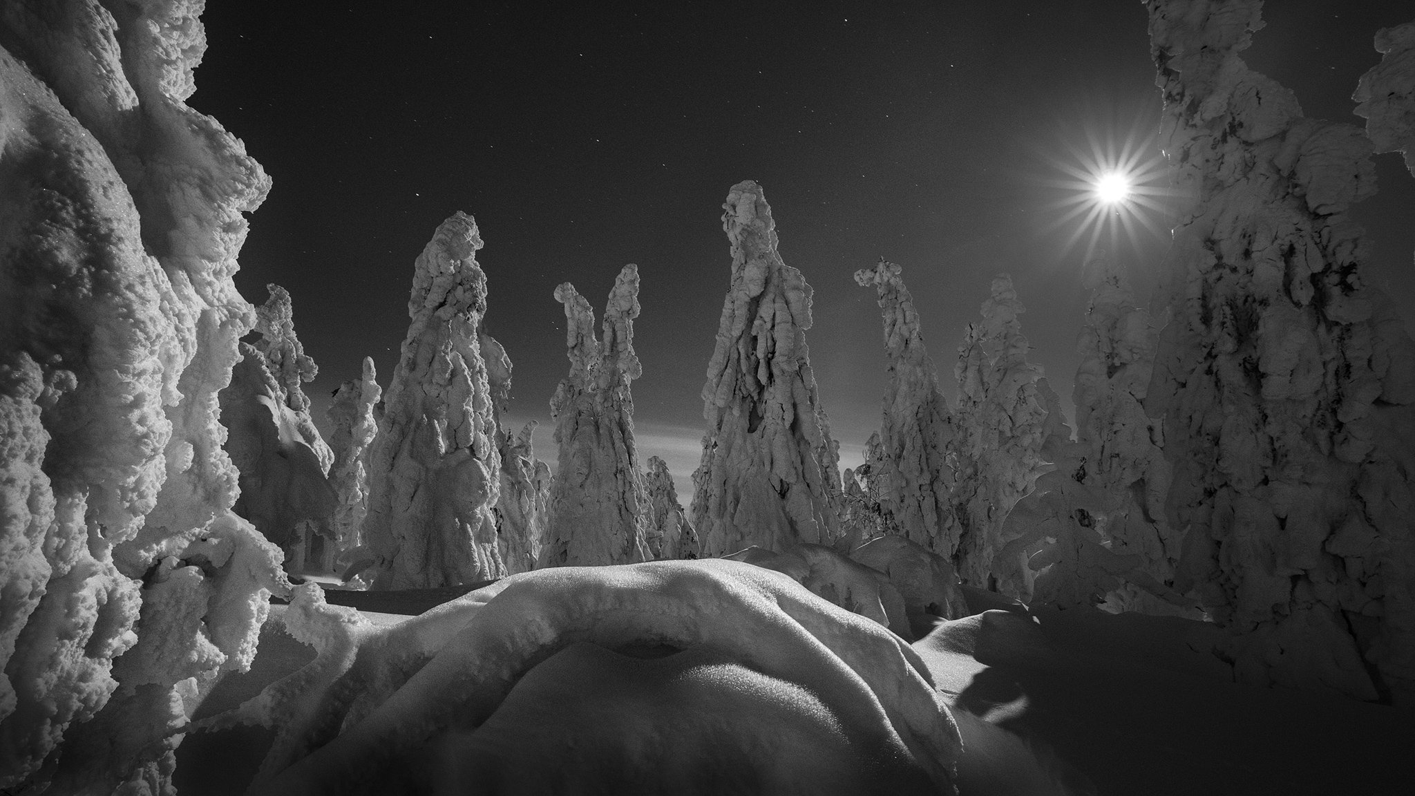 trees, frozen, winter, moon, full moon, stars, night, snow,, slovakia,, Adrian Misiak