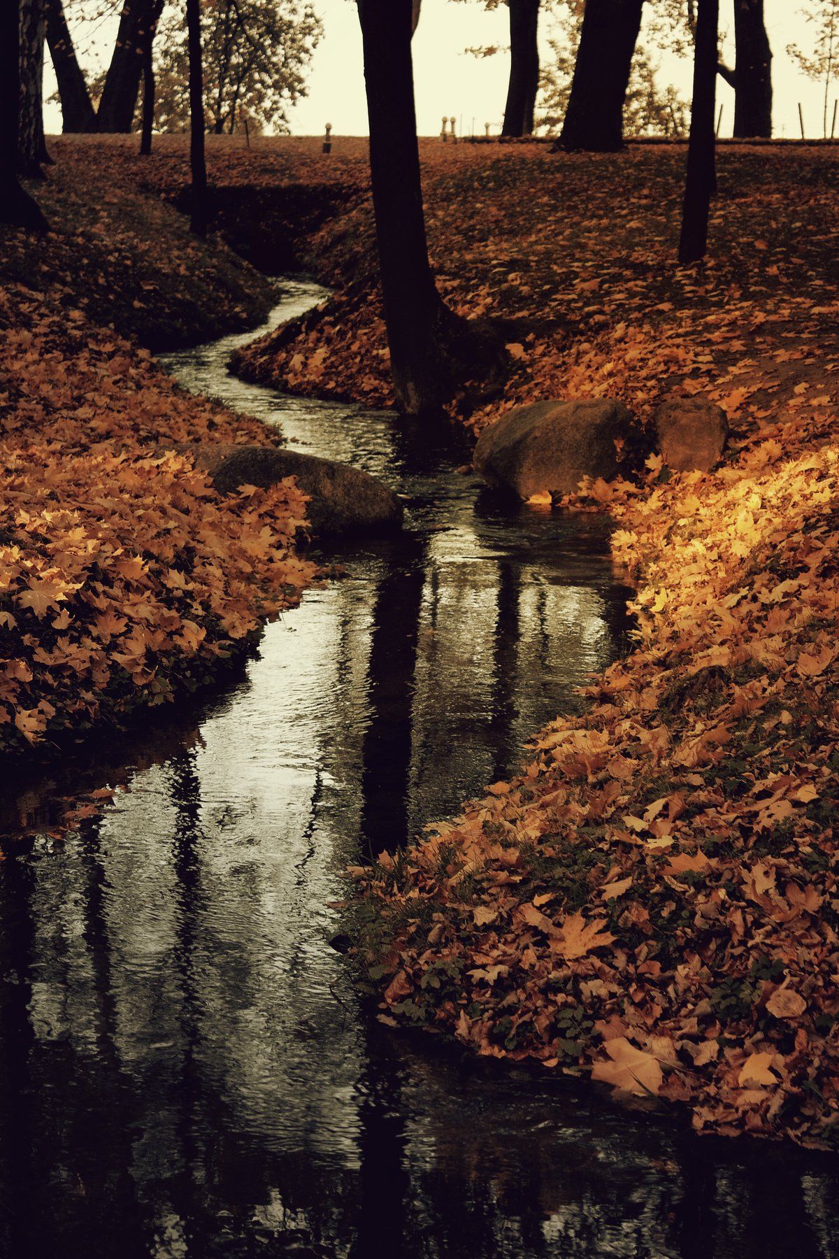 вода, листья, осень, парк, ручей, природа, Vladimir Kedrov