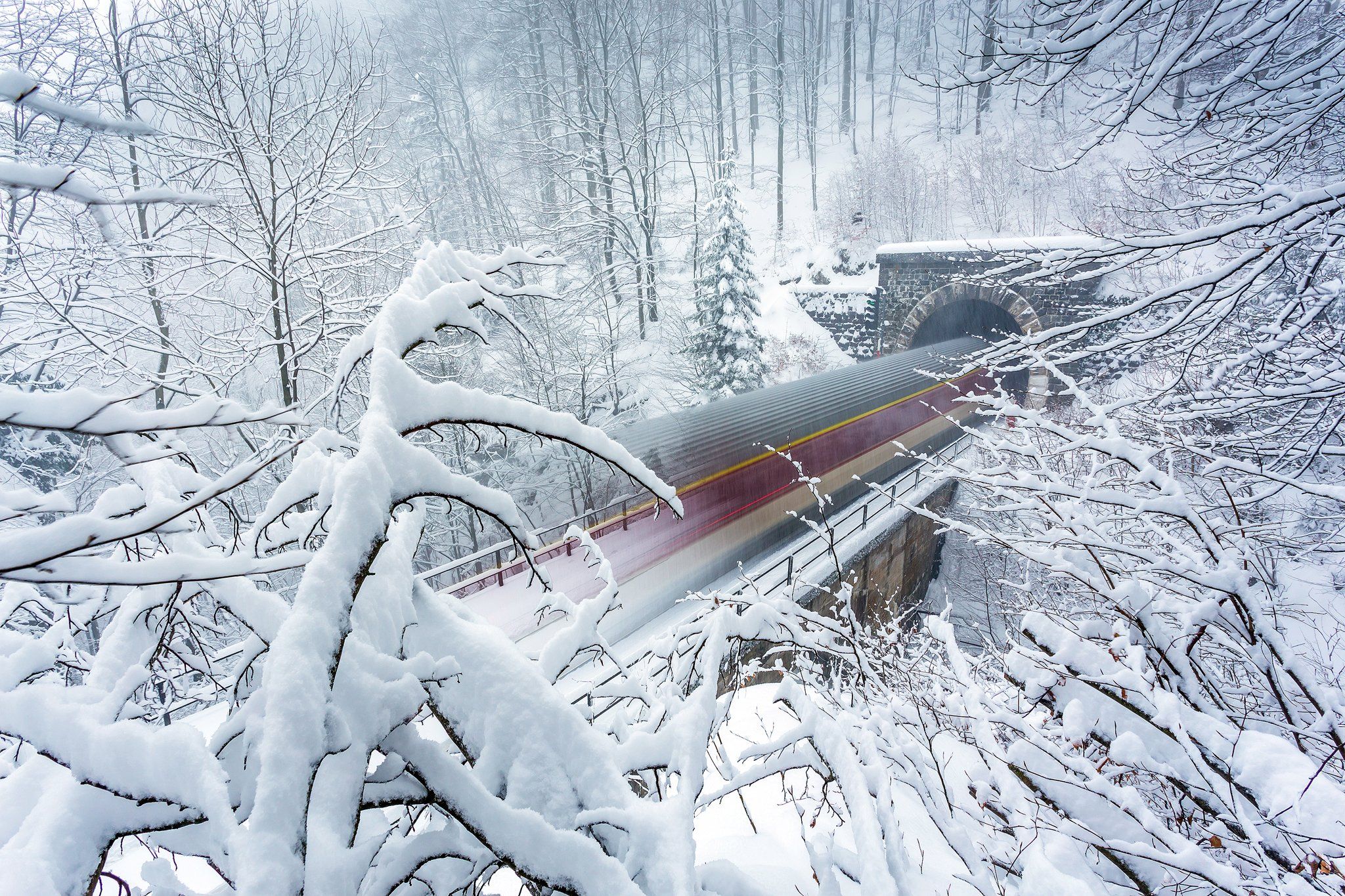 train, snow, winter, long exposure, motion, trees,white, tunel,, Adrian Misiak