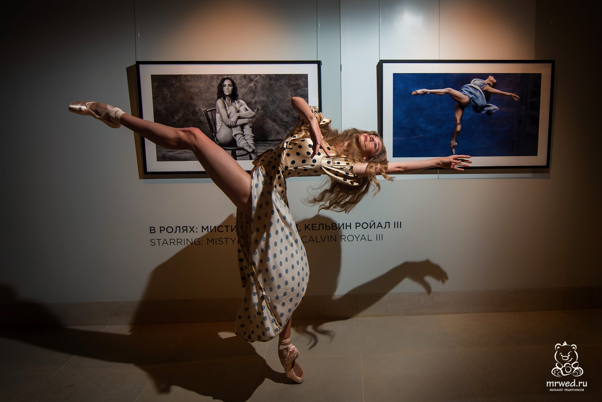 балерина, выставка, Новосибирск, Михаил Решетников, Михаил Решетников