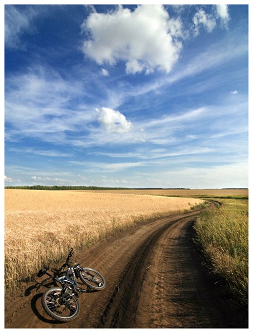 небо,природа,пейзаж,велосипед,поле,пшеница,дорога,трава,лето, Артём