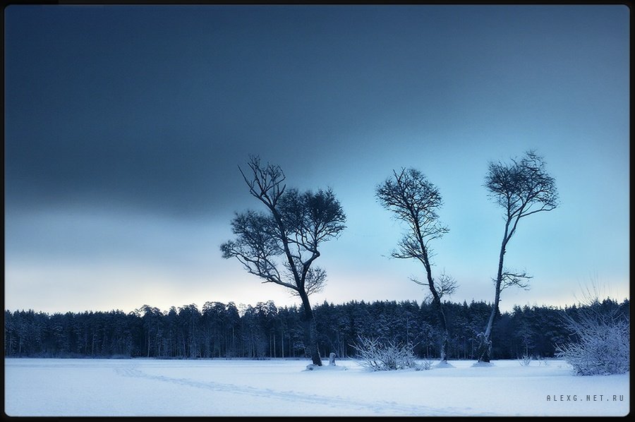 "night lake" [winter toned], Alex G