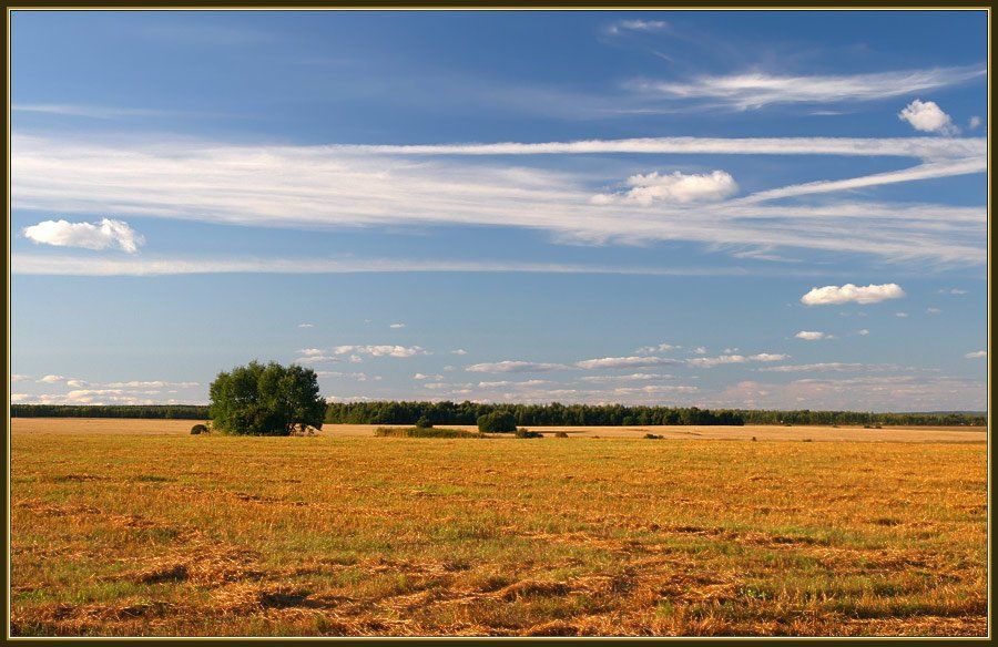 лето поле облака, Георгий