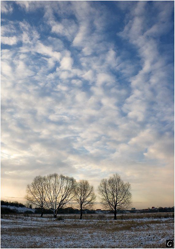 март, утро, подмосковье, небо, деревья, Gorshkov Igor_Feanorus