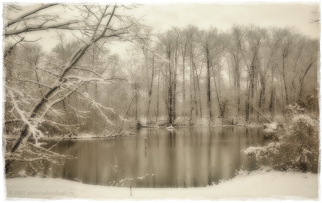 пейзаж, зима, река, снег, pilgrim, пленка, 35 мм, argus c44, Pilgrim