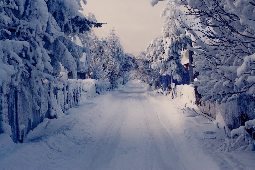 пейзаж в красках зимы, igor lasarev