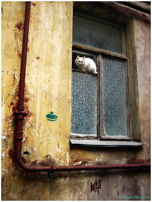 кошка окно двор принт, Щепина Маргарита (Gorelectrotrans)