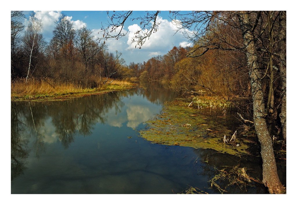 река, весна,жизня:), Сергей Дужников
