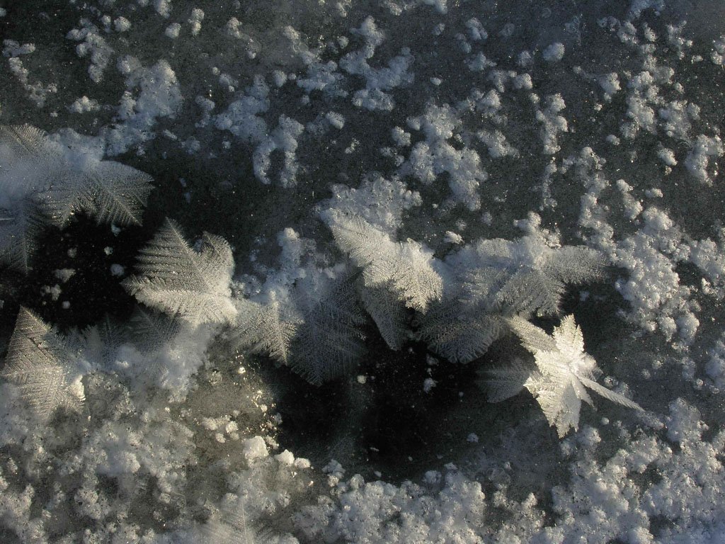 лед, кристаллы, Tatiana Rozanova