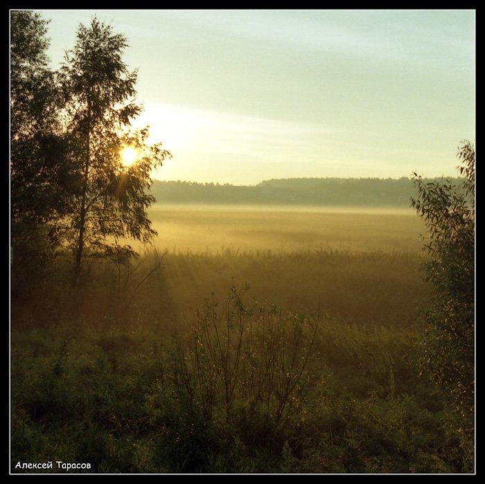 , Алексей Тарасов