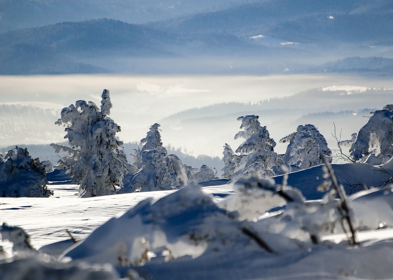 шерегеш, сибирь, зима, мороз, контровый свет, горные лыжи, Валерий Пешков