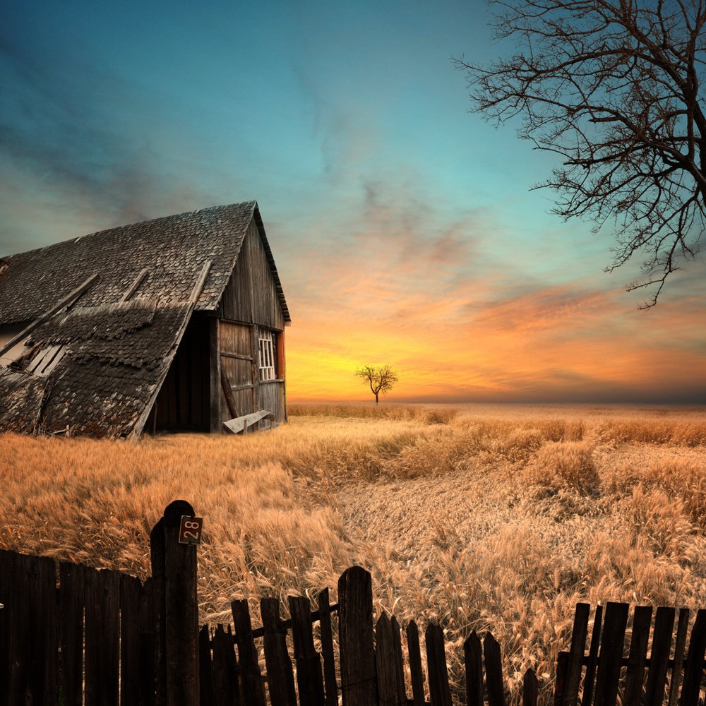 sky, sunset, clouds, house, old, tree, beautiful, shadow, grass, alone, fence, wheat, toned, abandoned, lost, grain, Caras Ionut