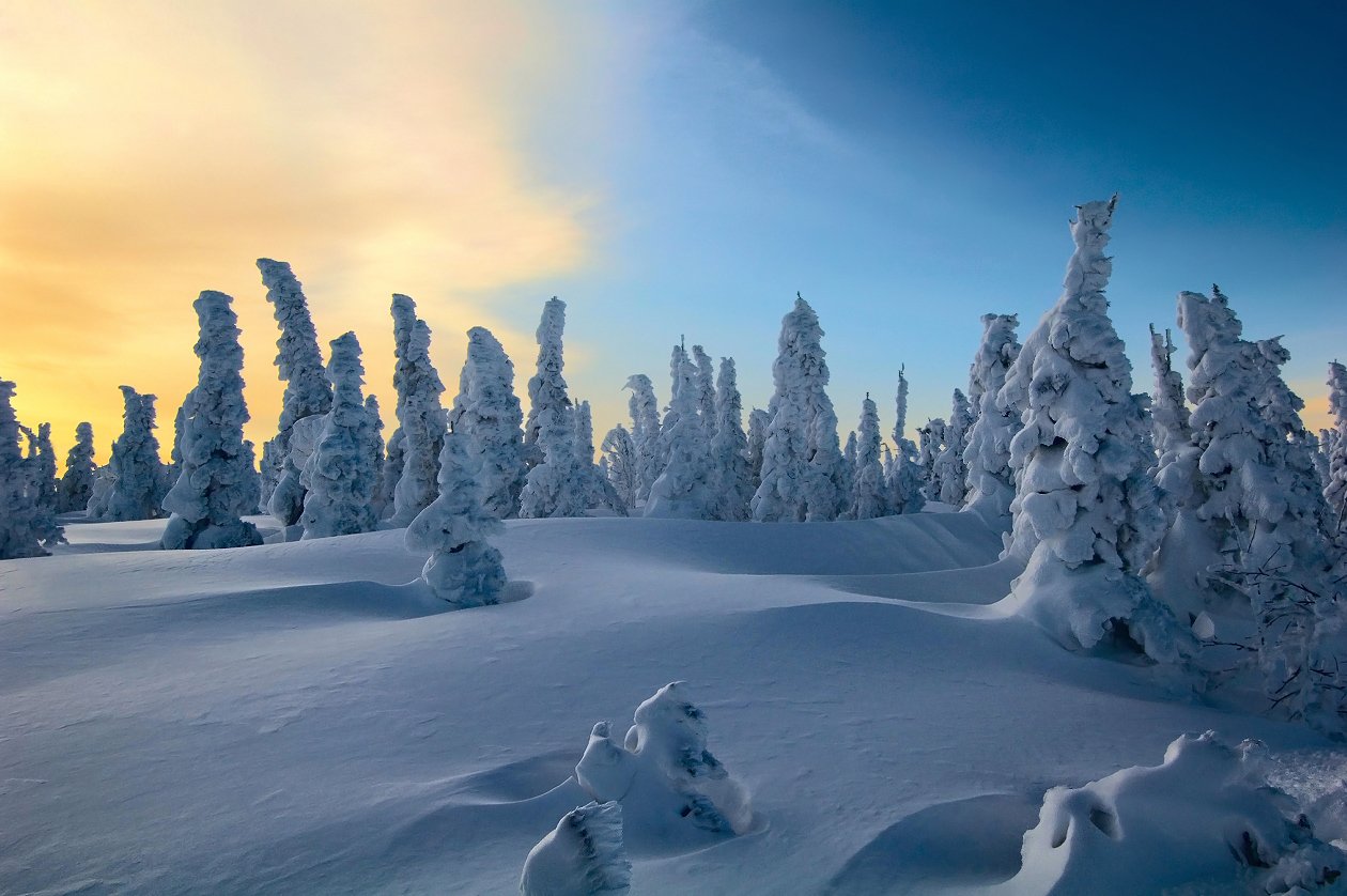 шерегеш, гора зеленая, горные лыжи, мороз, иней, Валерий Пешков