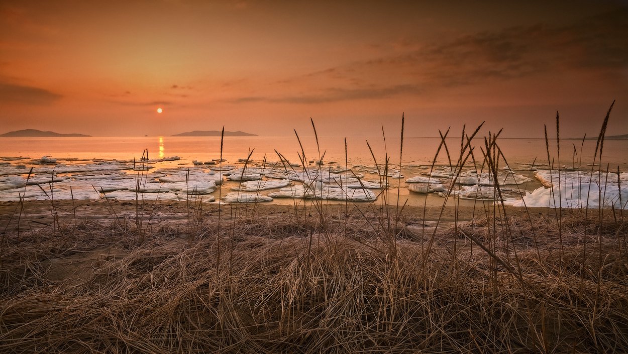 утро, солнце, море, весна, лёд, трава, песок, Андрей Кровлин