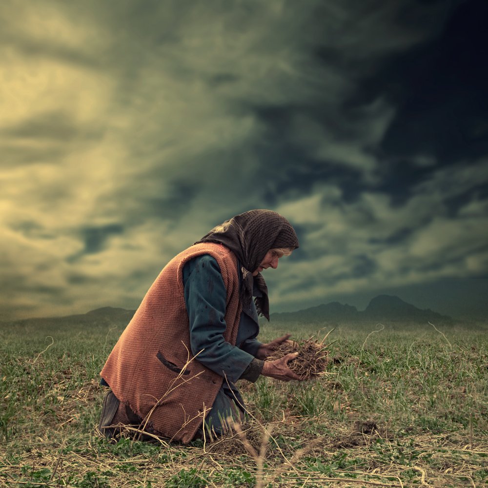 sky, hands, clouds, old, grass, woman, green, ground, worker, Caras Ionut