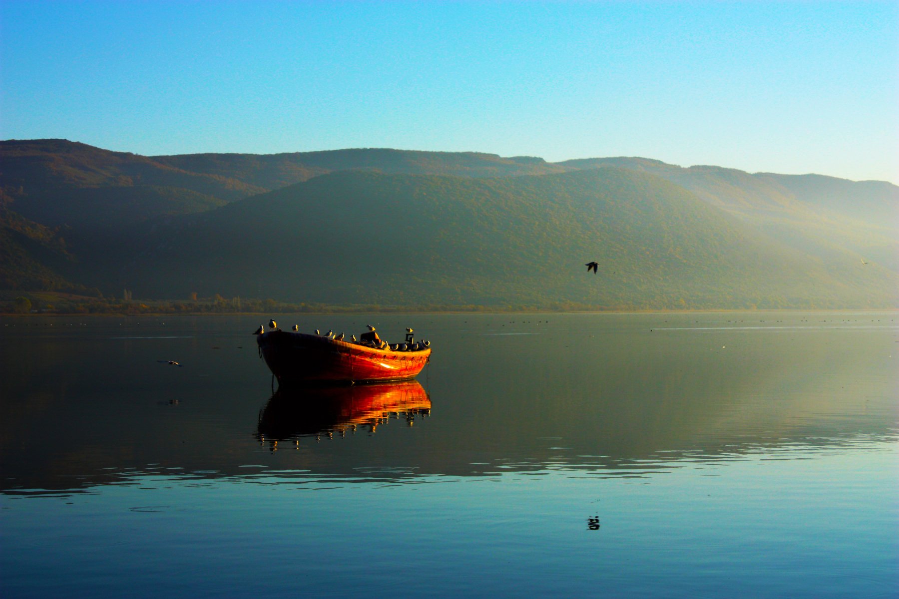 landscape,view,image,art,lake,birds,reflection,peace,travel,freedom,photography,, Nihan Bayındır
