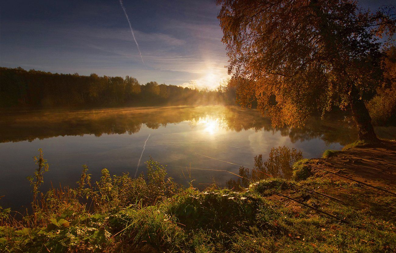 осень, пруд, свет, удочки, вода, солнце, утро, рассвет, Валерий Чичкин