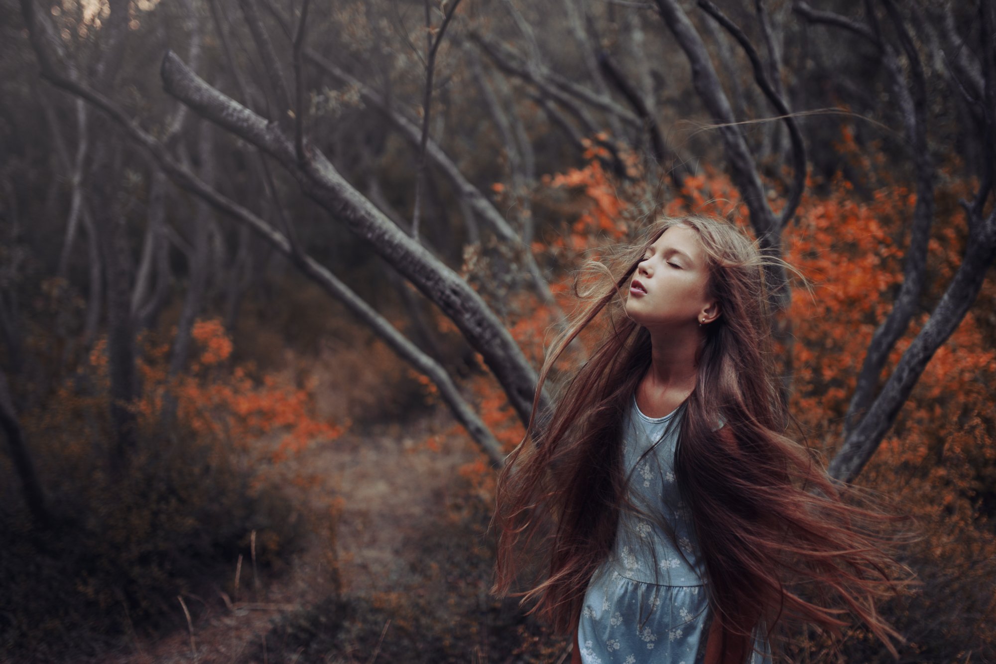 девушка девочка ветер апноэ сон лес оливковая роща, Вячеслав  (Ubisum) Матюхин