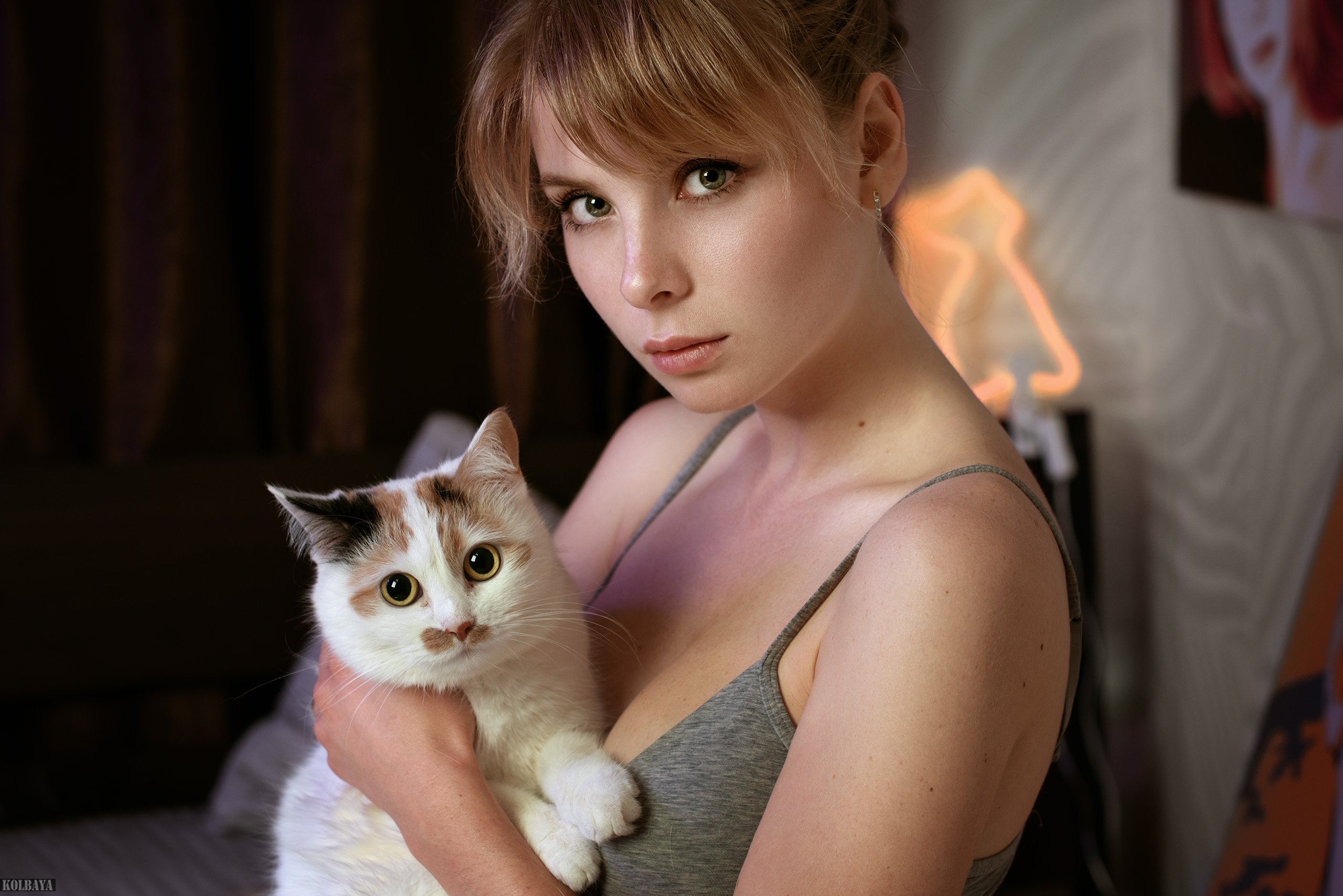 портрет, кошка, модель, Колбая Александр