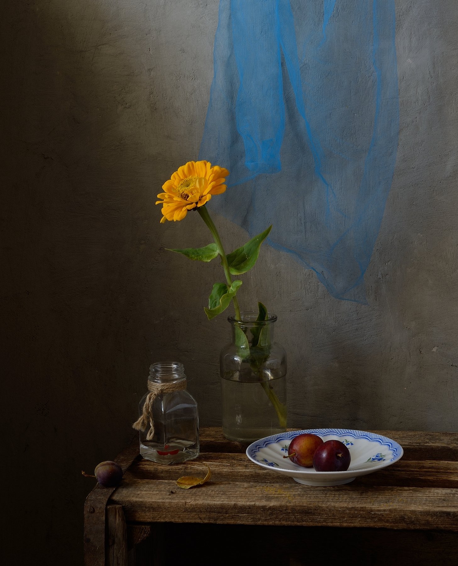 натюрморт,still life,цветы,цинния, Наталия К