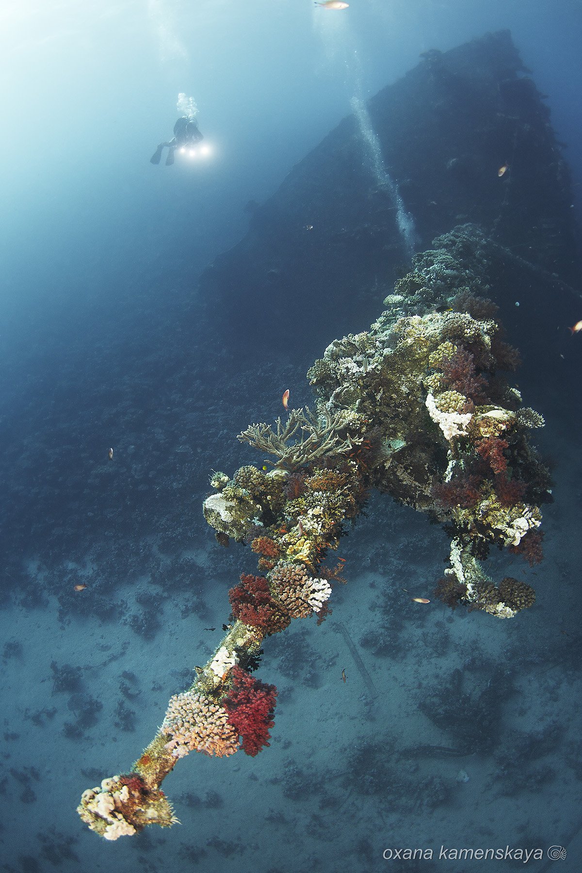 underwater wreck diving , Оксана Каменская