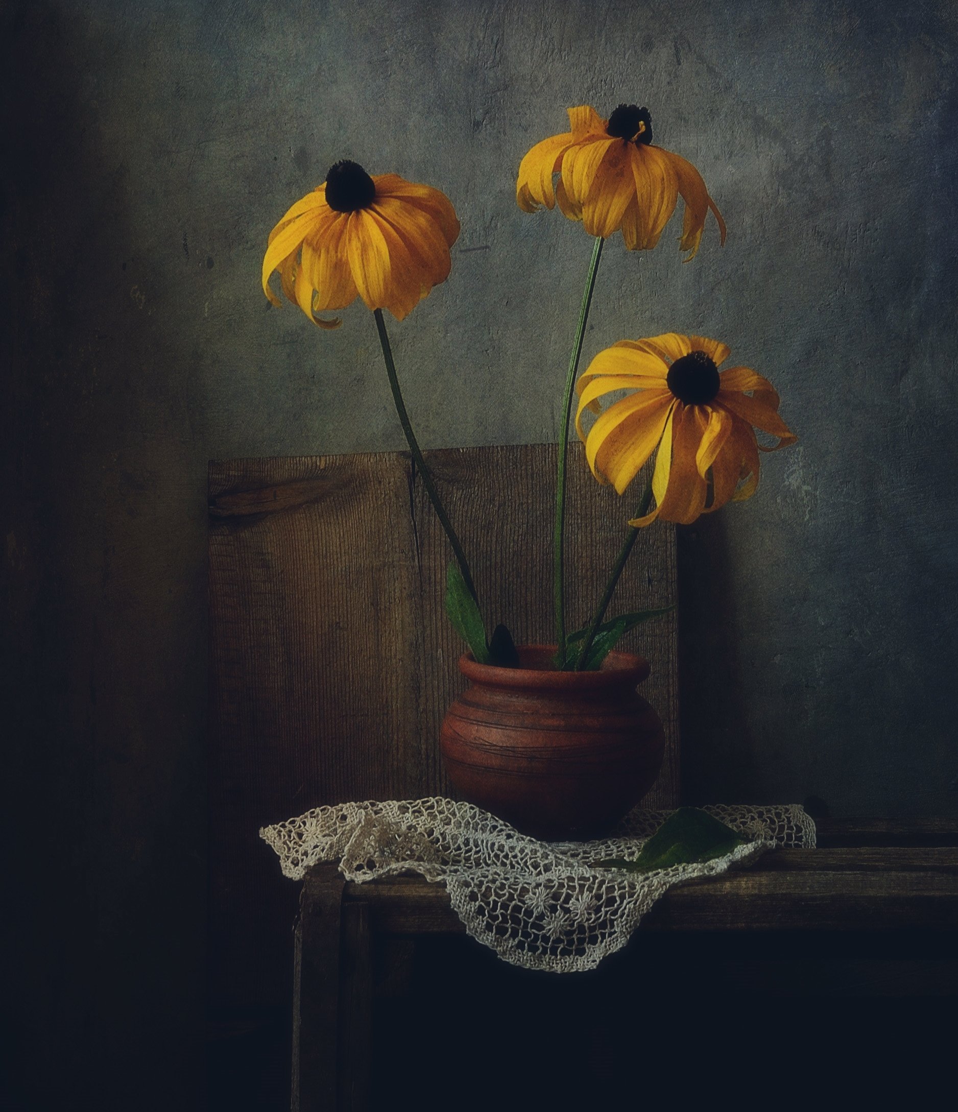 натюрморт,still life,цветы,рудбекия, Наталия К