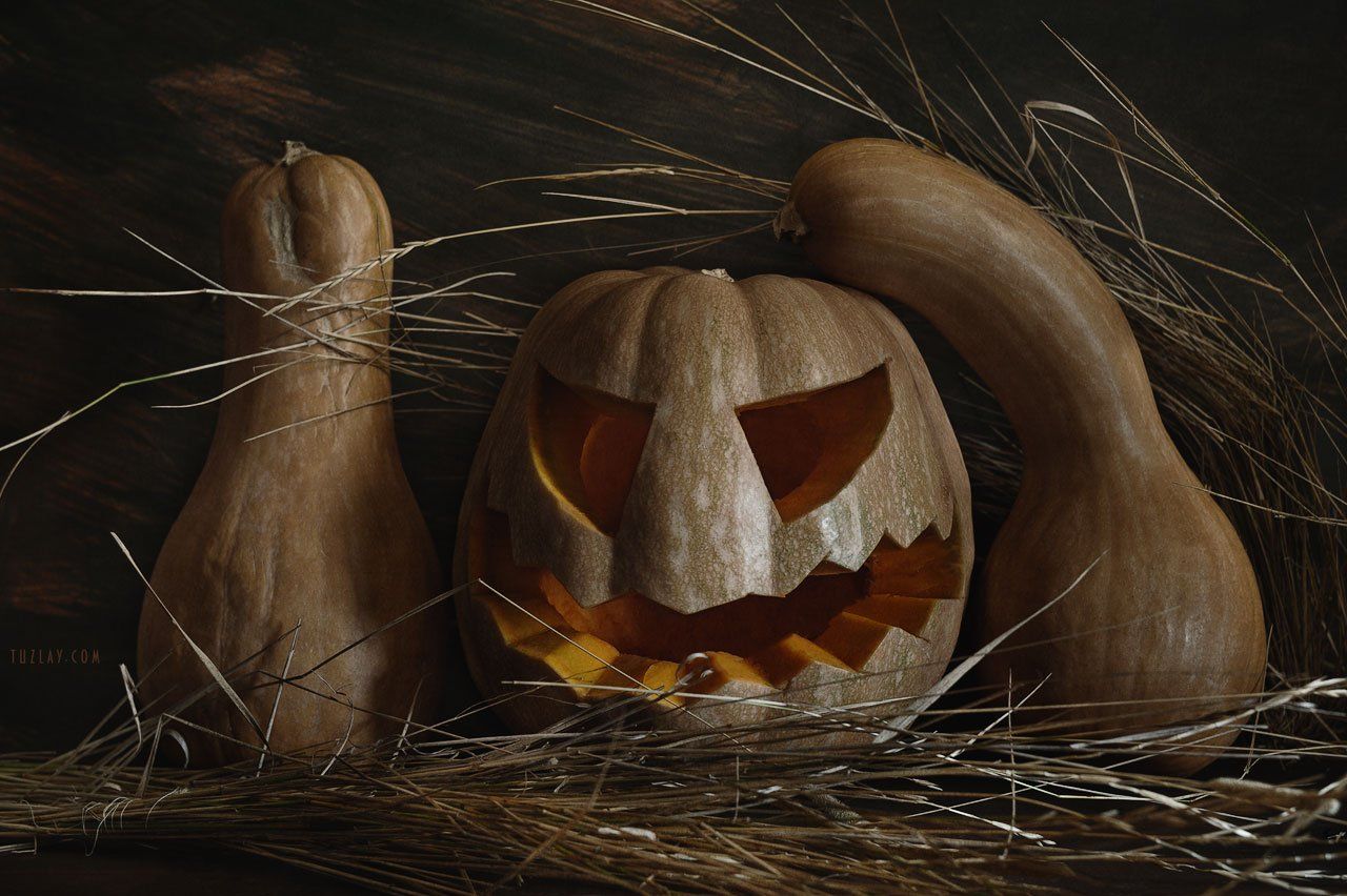 halloween, pumpkin, тыква, август, Владимир Тузлай