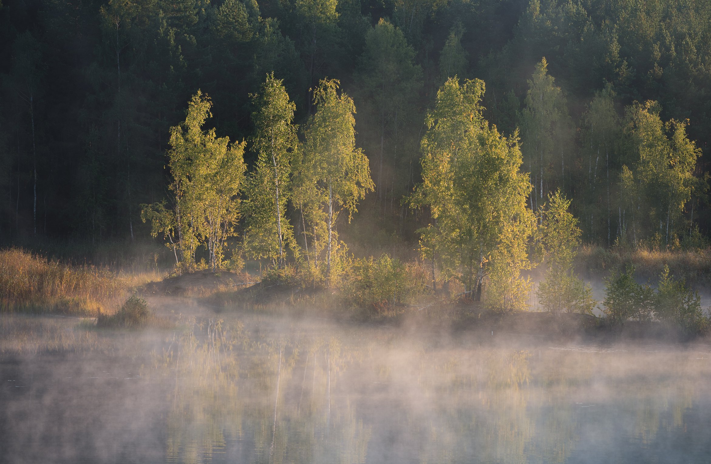 утро, рассвет, природа, туман, река, Виталий Левыкин