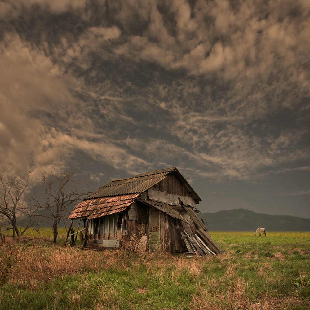 house, old, tree, fence, grass, wheat, grain, sky, clouds, sunset, shadow, lost, abandoned, alone, toned, beautiful, tree, horse, Caras Ionut