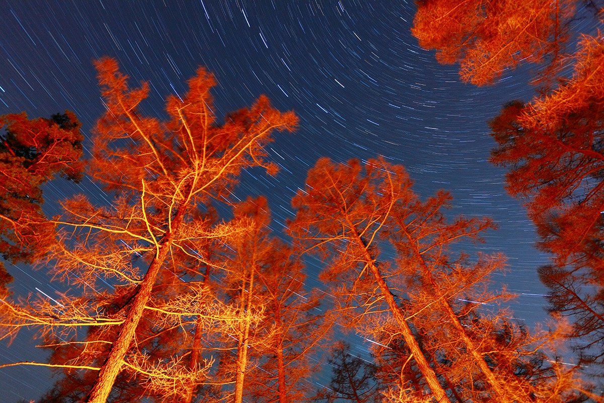 ural, taiga, road, forest, autumn, star, astronomy, Konstantin Mironov